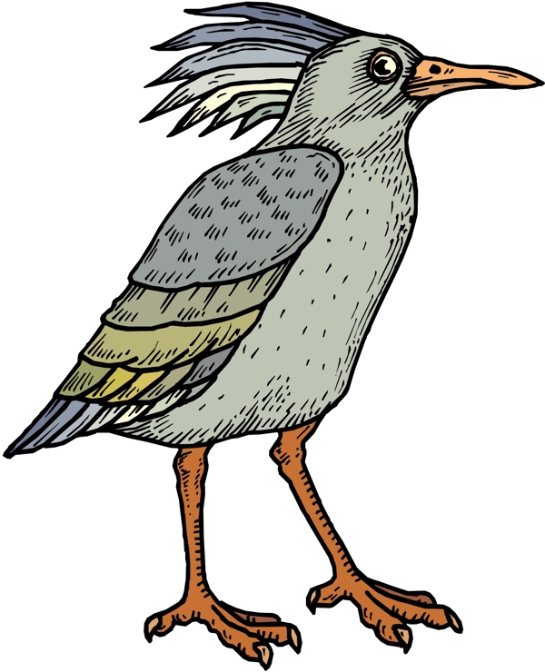 各種鳥類鳥動物矢量素材EPS格式0095
