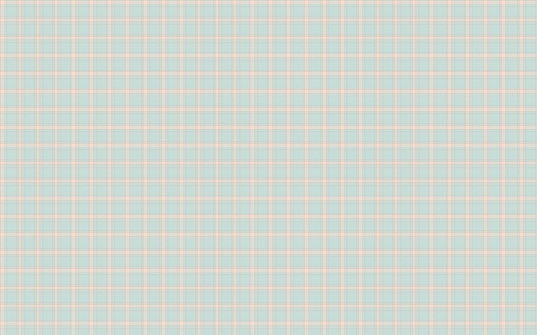 粗糙格布40