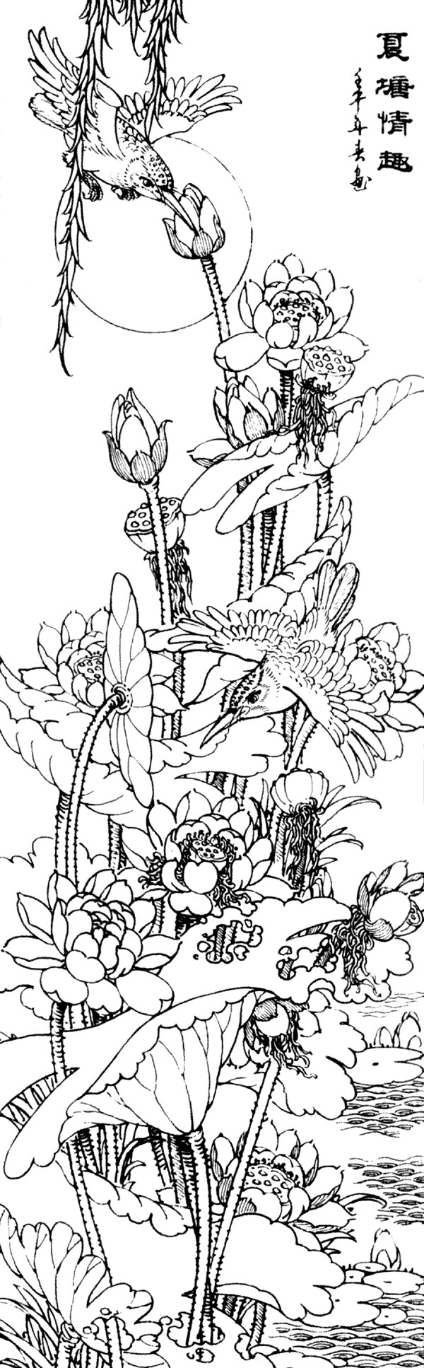 夏塘情趣圖片