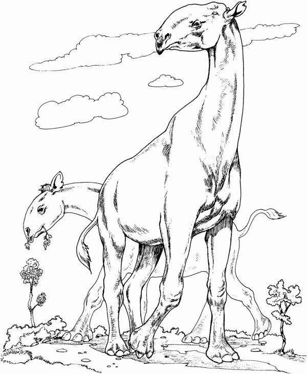 手繪動物畫動物素描