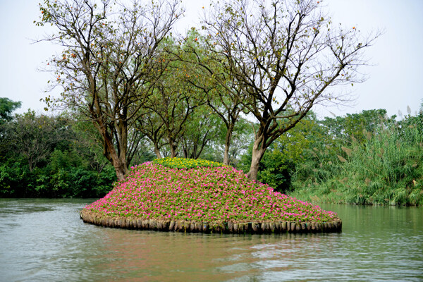 西溪湿地杭州风景图片