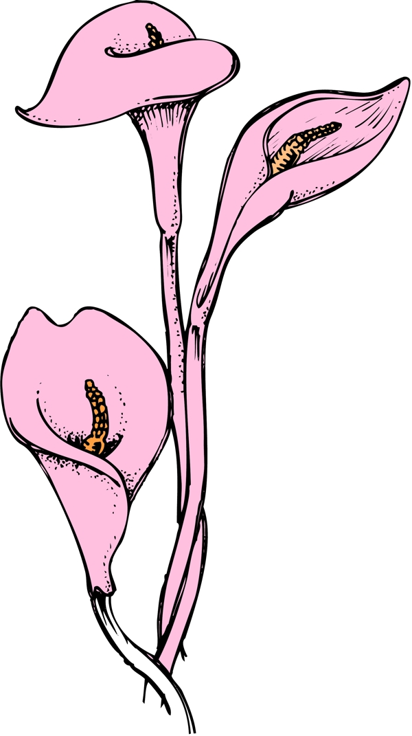 卡通花瓣矢量圖
