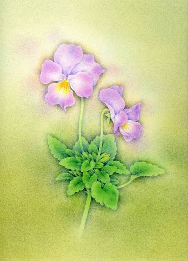 位圖寫意花卉植物花朵免費素材