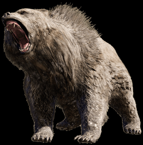 发怒有攻击性的熊免抠png透明图层素材