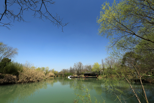 西溪湿地公园图片