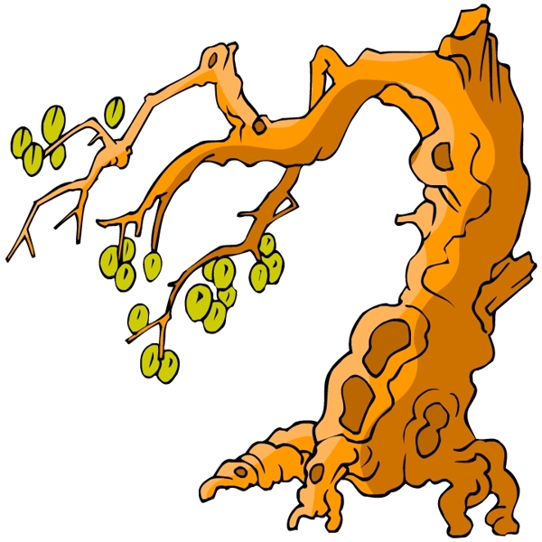 樹木古典插畫