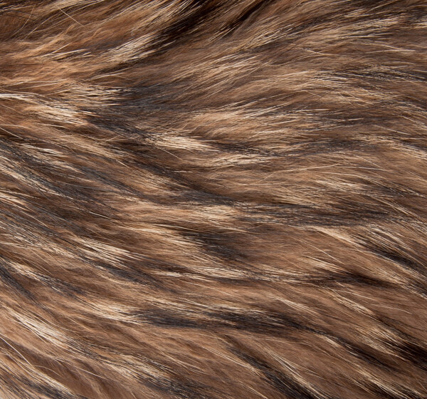 动物毛发纹理背景摄影高清