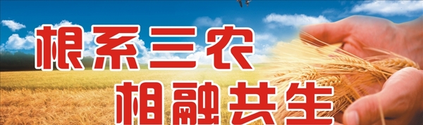 農(nóng)產(chǎn)