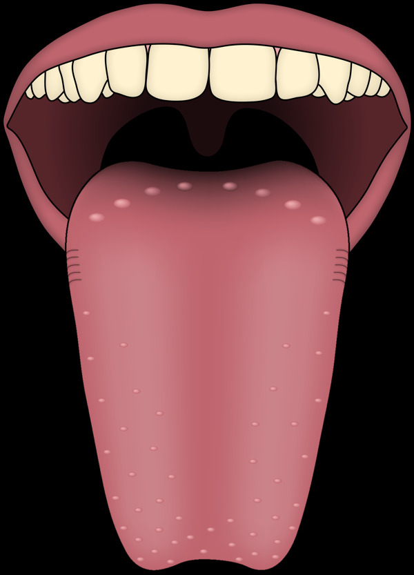 伸出的舌头免抠png透明图层素材