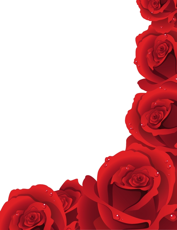 精真的红玫瑰的边框矢量素材