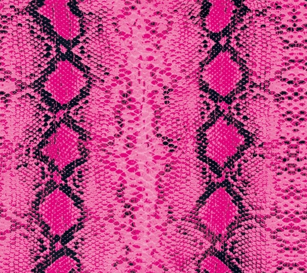 粉色蛇皮图片