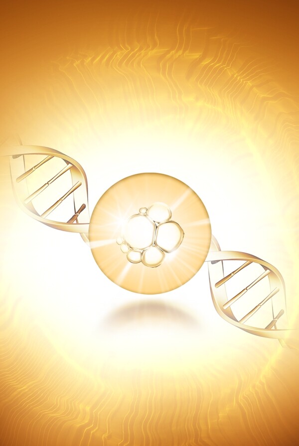 细胞精华螺旋体DNA