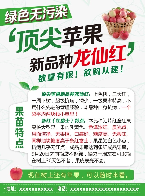 苹果绿色无污染龙仙红宣传单DM