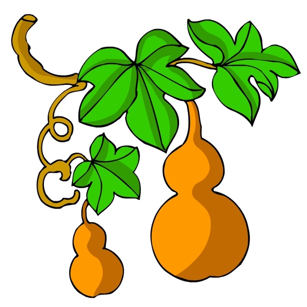 花卉古典插畫