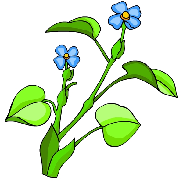 花卉古典插畫