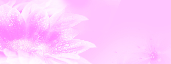 化妝品banner