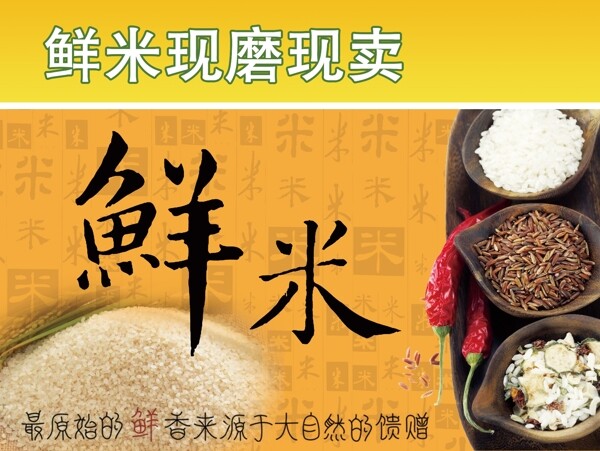 鮮米易拉寶圖片