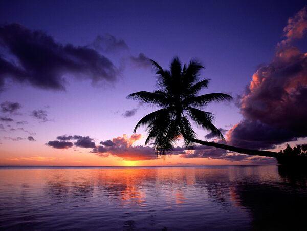 桌面海滩夕阳3图片