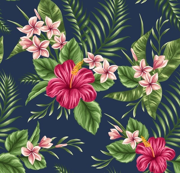 热带植物图案热带花朵背景图片