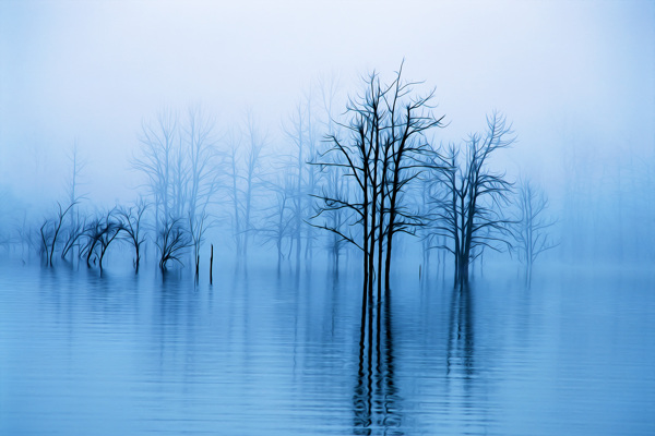 水雾风景油画图片