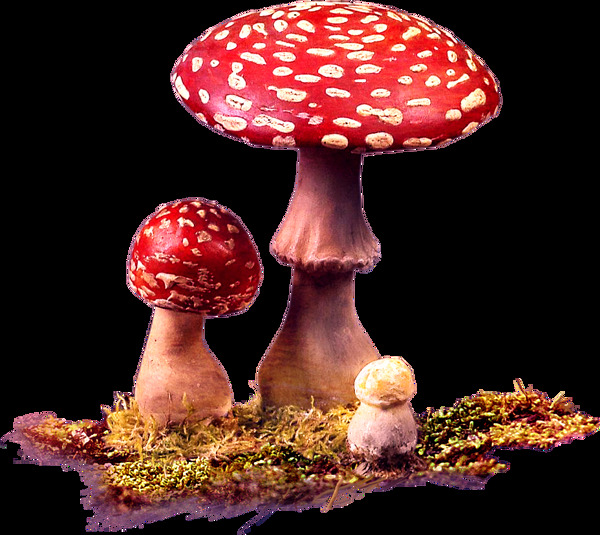 手绘油画红蘑菇元素