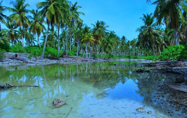 椰岛图片