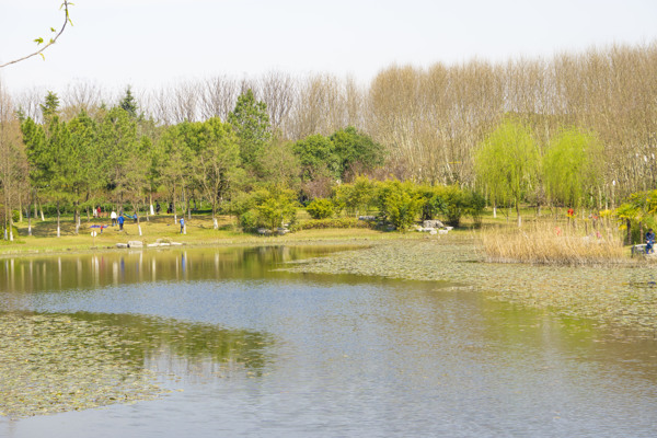 春天公园湖边风景摄影