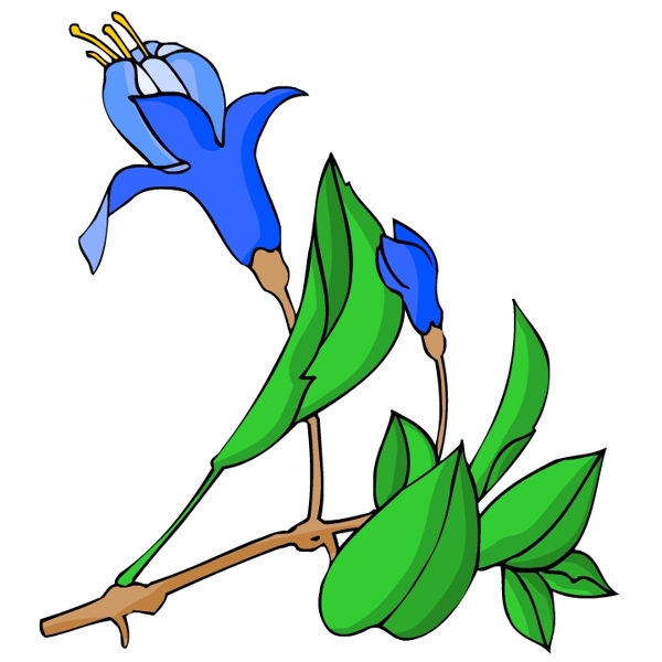 花卉古典插畫(huà)