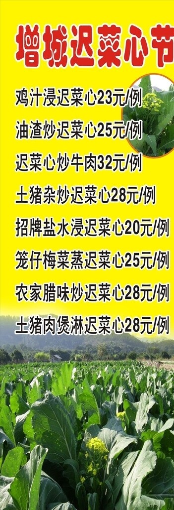 增城遲菜心海報圖片