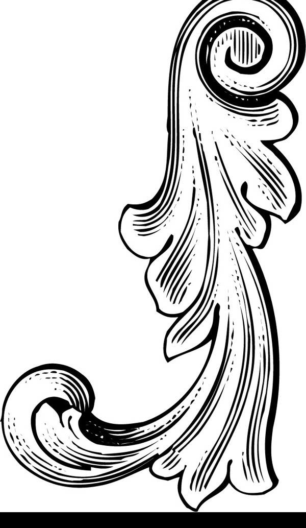 證書(shū)花紋圖片