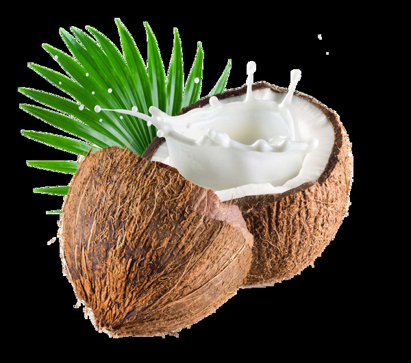 椰子椰子汁水果