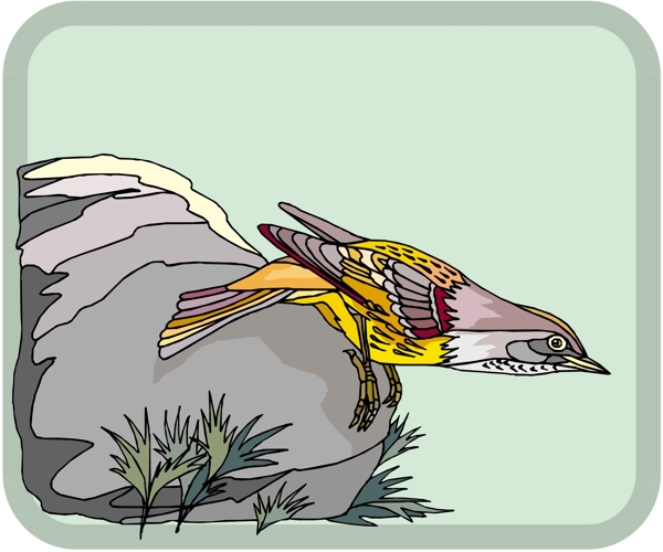 各種鳥類鳥動物矢量素材EPS格式0455