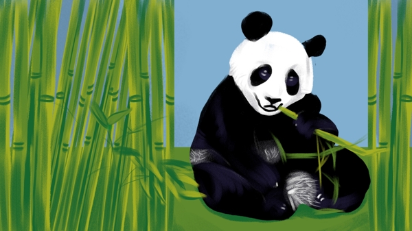 四川成都熊猫吃竹子插画