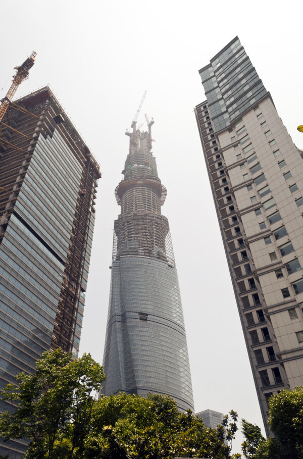 中糧海景一號圖片