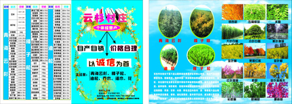 農(nóng)業(yè)樹苗植物