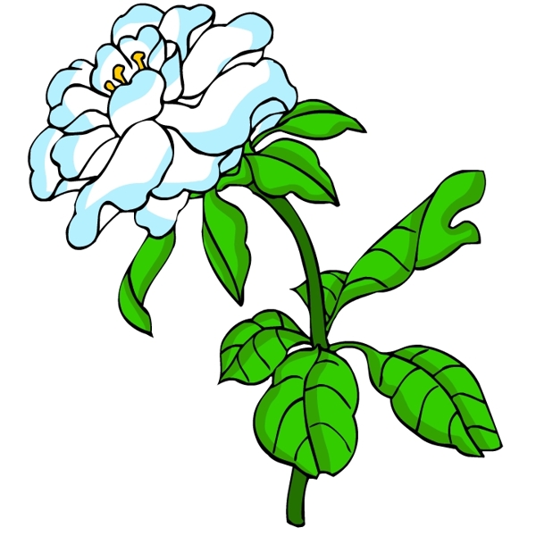 花卉古典插畫(huà)