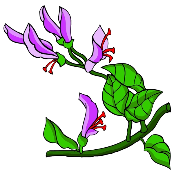 花卉古典插畫
