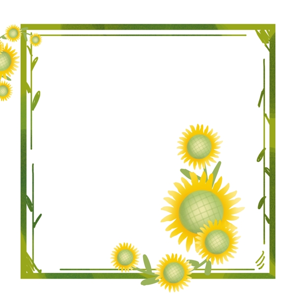 小菊花花蕊黄绿色边框
