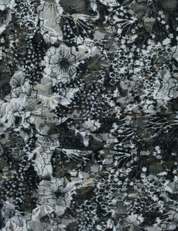 位圖植物花卉免費素材