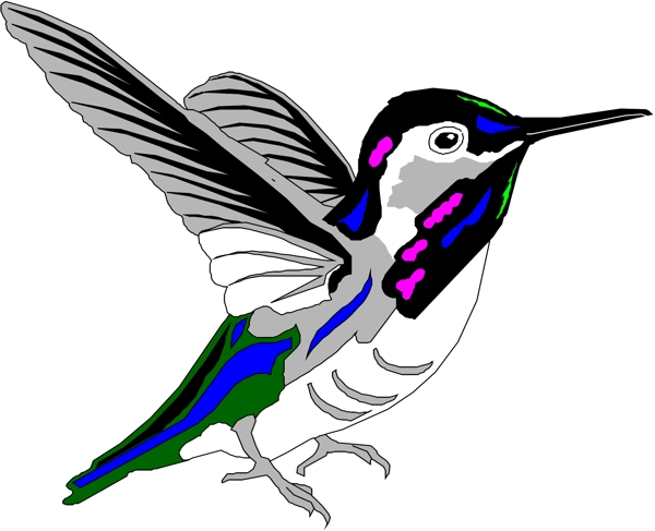 矢量逼真鳥類動物2