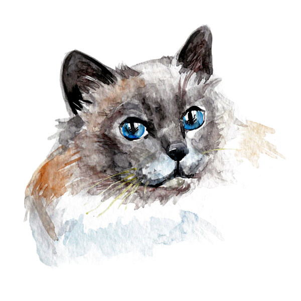 位圖插畫時尚插畫動物插畫藝術(shù)效果免費素材