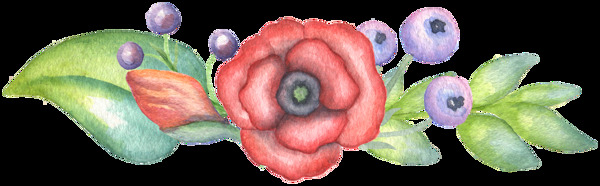 大红美丽花卉竞相开放图片素材