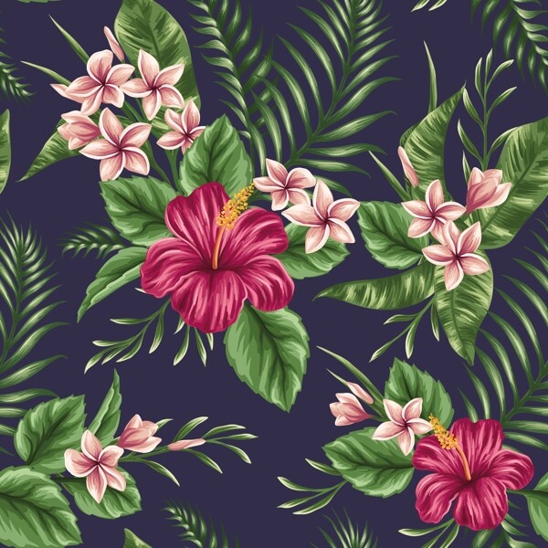 热带植物图案热带花朵背景图片