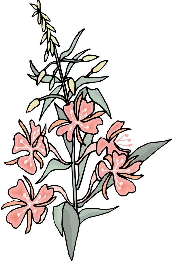 花朵花草鮮花矢量EPS格式0415