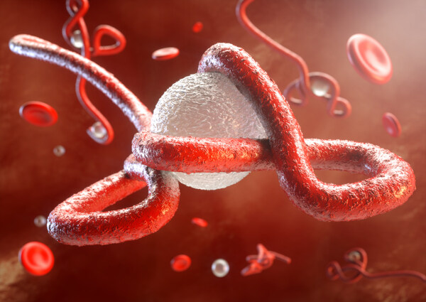 红色立体埃博拉病毒图片