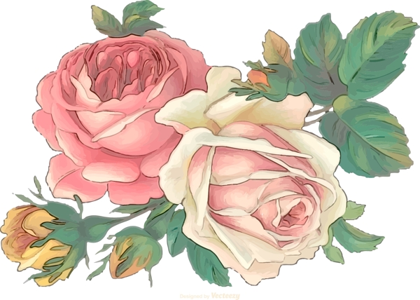 手绘矢量玫瑰花素材