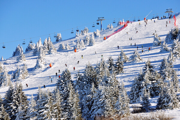滑雪公园风景图片
