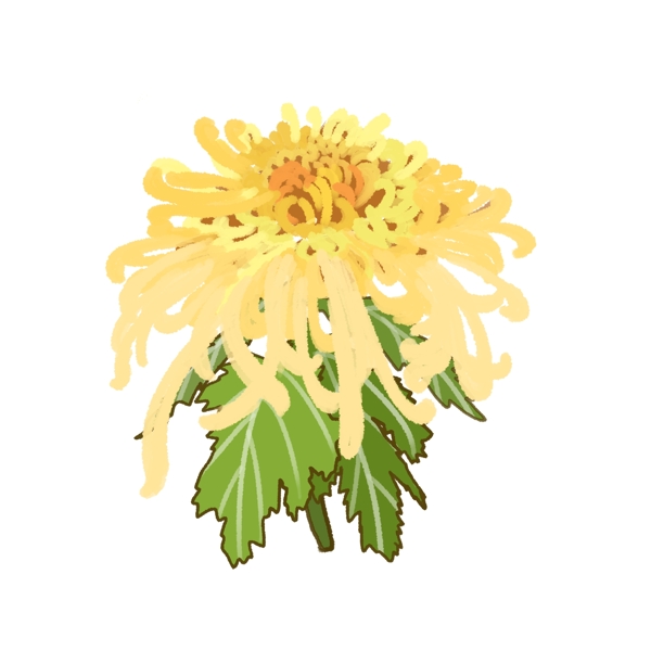手绘秋季黄色菊花可商用元素