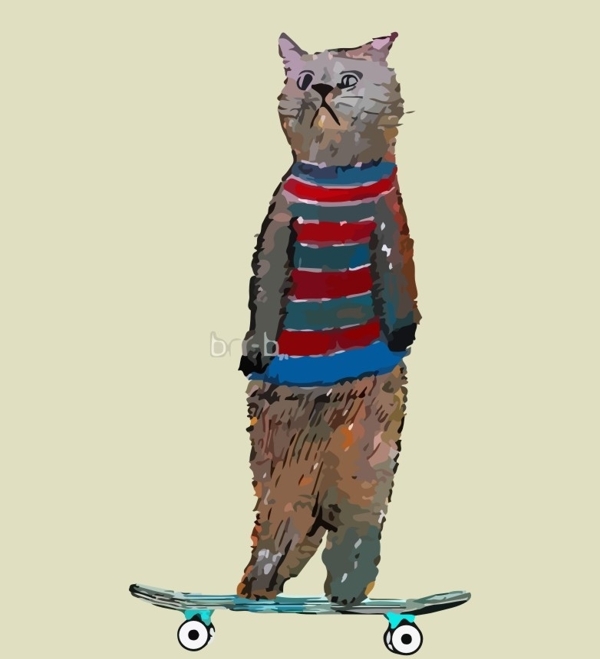 滑板猫图片