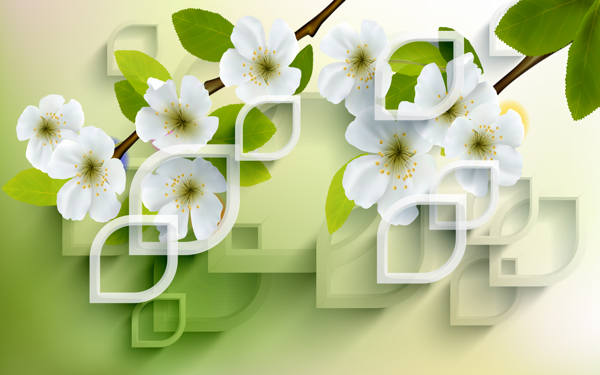 白色花朵背景图片